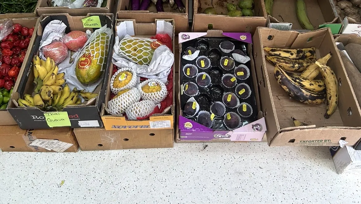 Boxes of Thai guava, papaya, small bananas, fresh figs and plantain